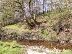 Nant Y Celyn - North Wales - 958986 - thumbnail photo 44