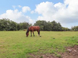 Nant Y Celyn - North Wales - 958986 - thumbnail photo 41