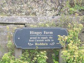 Hingey FarmHouse - Cornwall - 959140 - thumbnail photo 53