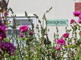 Seagrass - Cornwall - 959875 - thumbnail photo 11