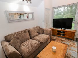 A living room with a sofa and television at Trelessy Lodge near Llanteg