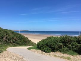 can you take dogs on beach in filey