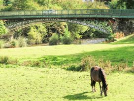 Maes Madog - North Wales - 961172 - thumbnail photo 78