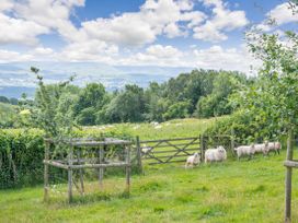 Fern Hall Cottage - Herefordshire - 961199 - thumbnail photo 25