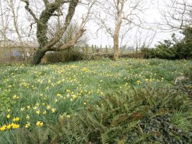 Bodegri Cottage - Anglesey - 961817 - thumbnail photo 21