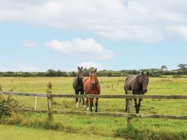 Sanderling Lodge - County Wexford - 962010 - thumbnail photo 27