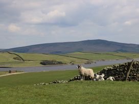 Crane Field Laithe - Yorkshire Dales - 962454 - thumbnail photo 35