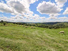 Meadow View - Mid Wales - 963226 - thumbnail photo 13