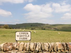 Lapwing - Peak District - 963227 - thumbnail photo 15