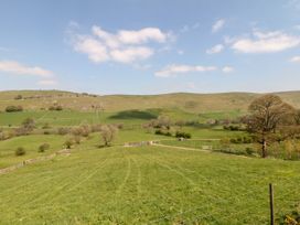 Lapwing - Peak District - 963227 - thumbnail photo 19