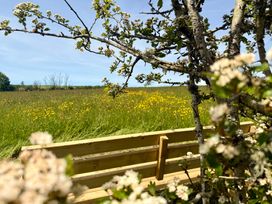 A view of a grassy field with flowers and a bench at Meadow Cottage in Golant, near Fowey