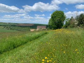 A grassy path with wildflowers and trees in a countryside landscape at Meadow Cottage, Golant, near Fowey