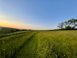 A path through a grassy field with trees at Meadow Cottage, Golant, near Fowey
