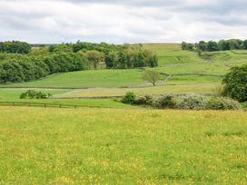 Pheasant - Yorkshire Dales - 963684 - thumbnail photo 41