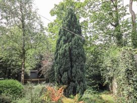 A garden with a large tree and various plants at Doe Foot Cottage in Ingleton