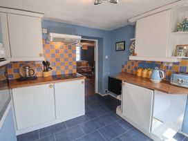 Delphinium - Norfolk - 964618 - thumbnail photo 9