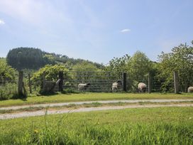 A rural scene with sheep behind a metal gate and a dirt path in front at The Old Beams at Pont y Forwyn in Llansantffraidd-ym-Mechain near Welshpool
