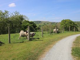 A countryside scene with sheep behind a wire fence next to a gravel path with hills and trees in the background at The Old Beams at Pont y Forwyn in Llansantffraidd-ym-Mechain near Welshpool
