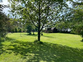 A garden with a tree and a shed at Gelert Pod St Asaph