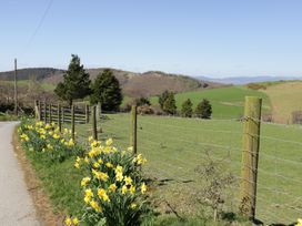 Y Daflod - Mid Wales - 965381 - thumbnail photo 3