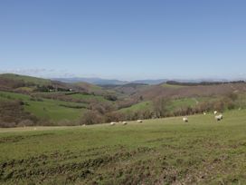 Y Daflod - Mid Wales - 965381 - thumbnail photo 25