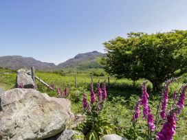 Moelfre - Shepherds Hut - North Wales - 965691 - thumbnail photo 30