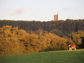 Acorn Cottage - Somerset & Wiltshire - 967264 - thumbnail photo 10