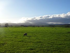 Gamekeepers Cottage - Northumberland - 968196 - thumbnail photo 35