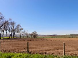 An outdoor field with trees and a fence at Gamekeepers Cottage in Chillingham near Chatton