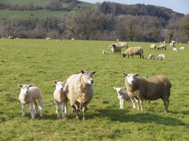 Mary's Cottage - Devon - 970240 - thumbnail photo 17