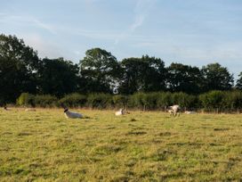 Barnfields Holiday Cottage - Peak District - 970674 - thumbnail photo 22