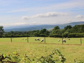 Pendleside - Lake District - 971350 - thumbnail photo 17