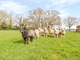 The Old Barn - Herefordshire - 971659 - thumbnail photo 42