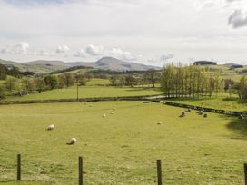 Cyffdy Cottage - Arenig - North Wales - 971763 - thumbnail photo 19