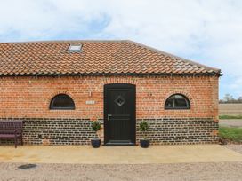 Little Owl - Lincolnshire - 971863 - thumbnail photo 2