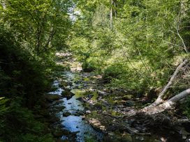 A stream with rocks and trees in a natural setting at Carwinley Mill House Cottage Longtown