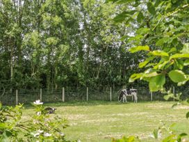 Robyn Cottage - Lake District - 972634 - thumbnail photo 23