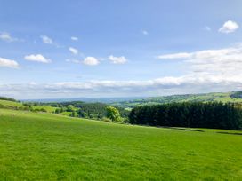 A green field with trees and sheep under a blue sky at Pant Dafydd Goch in Llangollen
