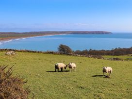 A grassy field with three sheep and a coastal view at Bryn Ffynnon in Bryncroes near Aberdaron