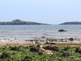 A rocky beach with green seaweed and seagulls near the sea with islands in the background at Bryn Ffynnon in Bryncroes near Aberdaron