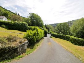 A road with hedges and trees at Coedfryn in Betws-y-Coed