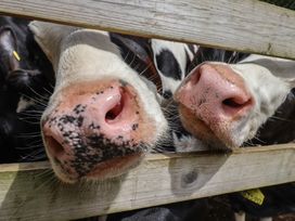 The Old Log Shed - Devon - 976023 - thumbnail photo 44