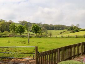 A view of green fields and trees at Hornshayne Farmhouse in Farway, near Honiton