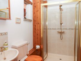 A bathroom featuring a shower stall, toilet, and sink at The Cottage in Sampford Courtenay