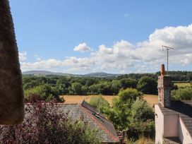 A view of fields and mountains with trees from The Cottage in Sampford Courtenay
