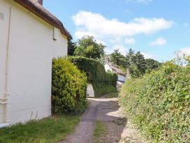 A pathway with bushes and buildings at Hope Cottage in Riddlecombe, near Winkleigh