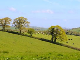 A landscape with cows and trees at East Bickleigh Halwell