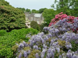 A garden with flowers and a building in the background at The Clock House in Ivybridge
