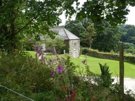 Harry - Cornwall - 976286 - thumbnail photo 2
