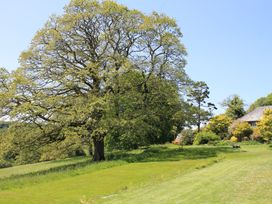 Harry - Cornwall - 976286 - thumbnail photo 10